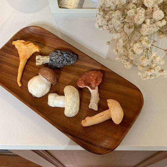 Handcrafted Realistic Mushroom Chopstick Holder Fridge Magnet