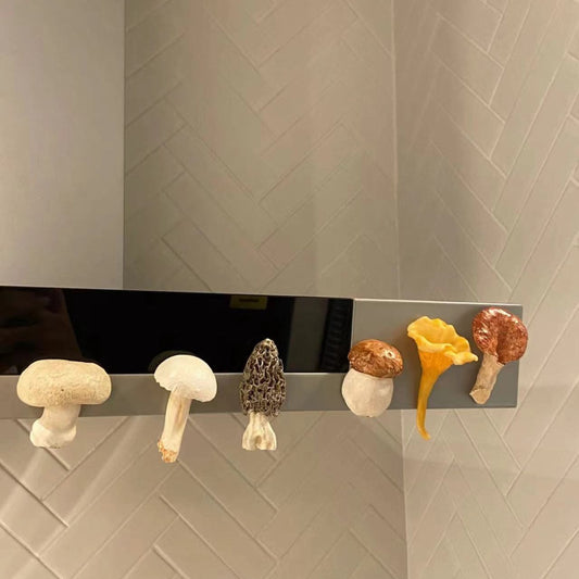 Vintage 3D Mushroom DIY Fridge Magnets Decor Set of 6