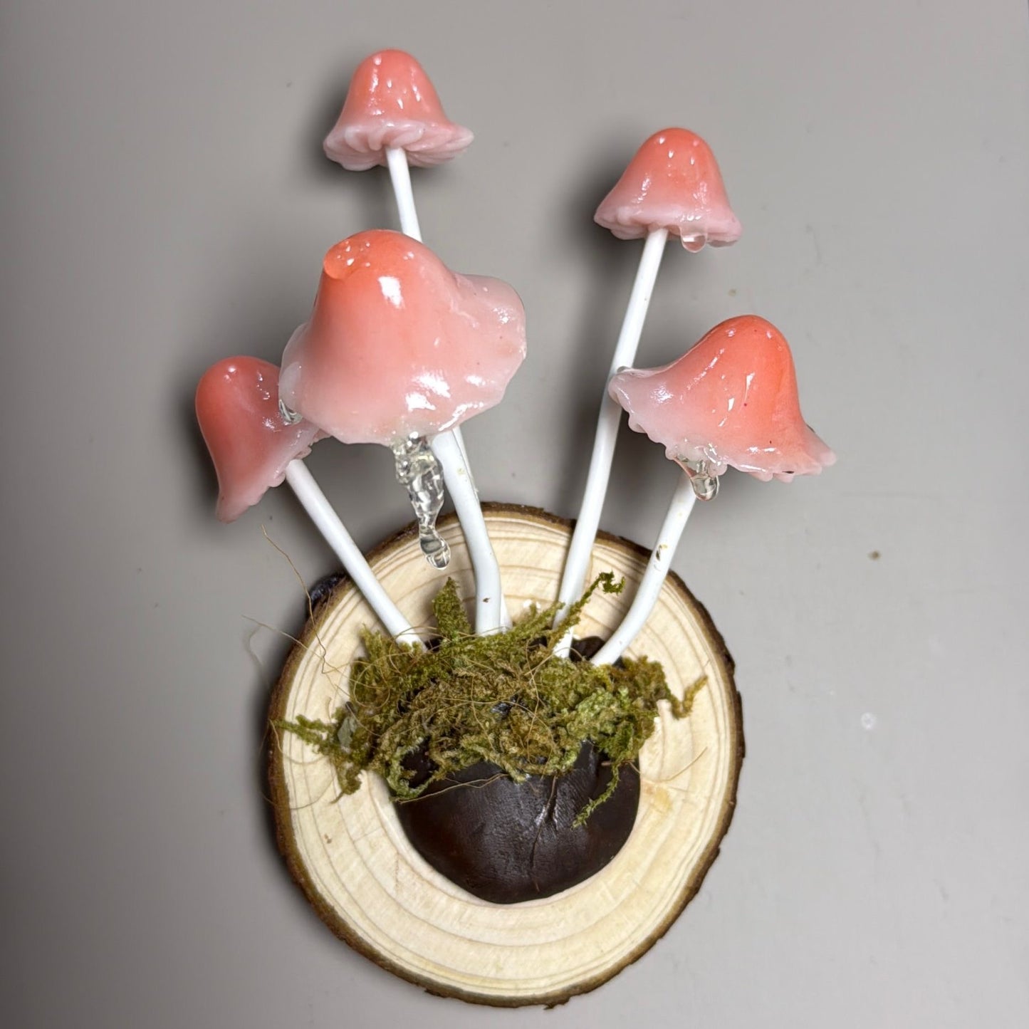 Multi-Head Mushroom Magnet, Handcrafted Decorative Fridge Accent