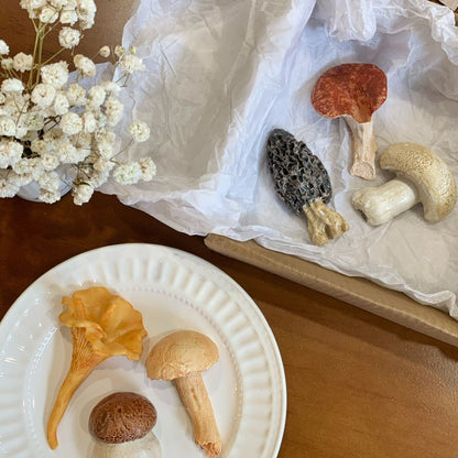 Handcrafted Realistic Mushroom Chopstick Holder Fridge Magnet