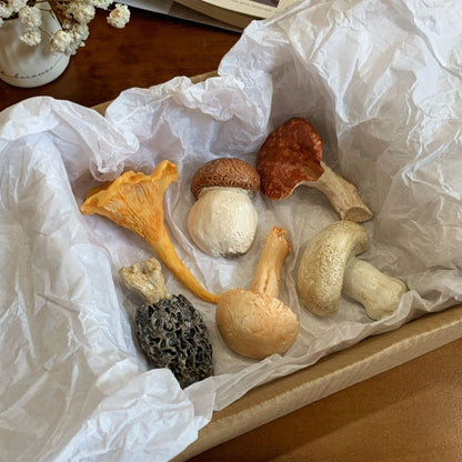 Handcrafted Realistic Mushroom Chopstick Holder Fridge Magnet